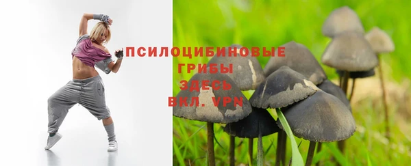 альфа пвп Лиски
