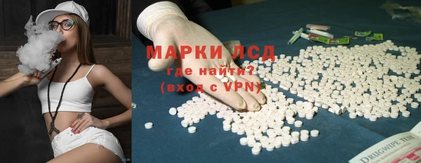 гашик Липки