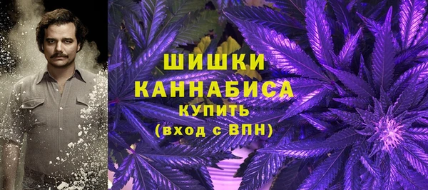 гашик Липки