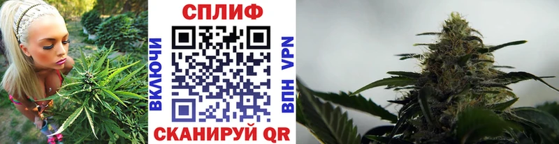 Каннабис Ganja Кызыл